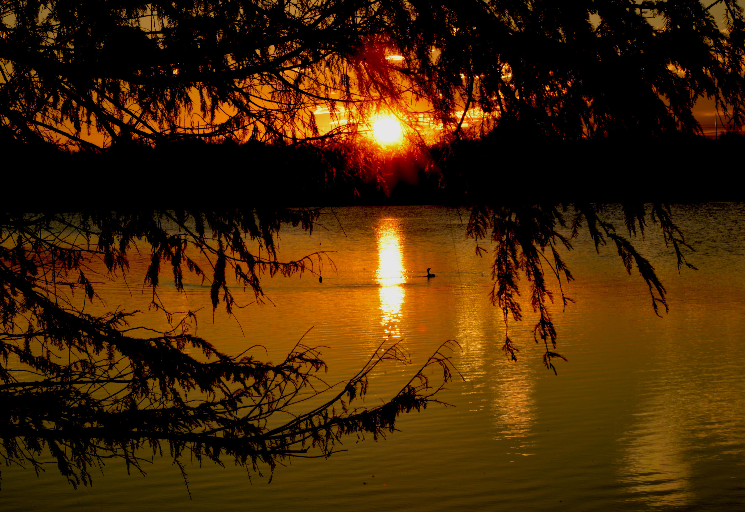 Miller's Pond