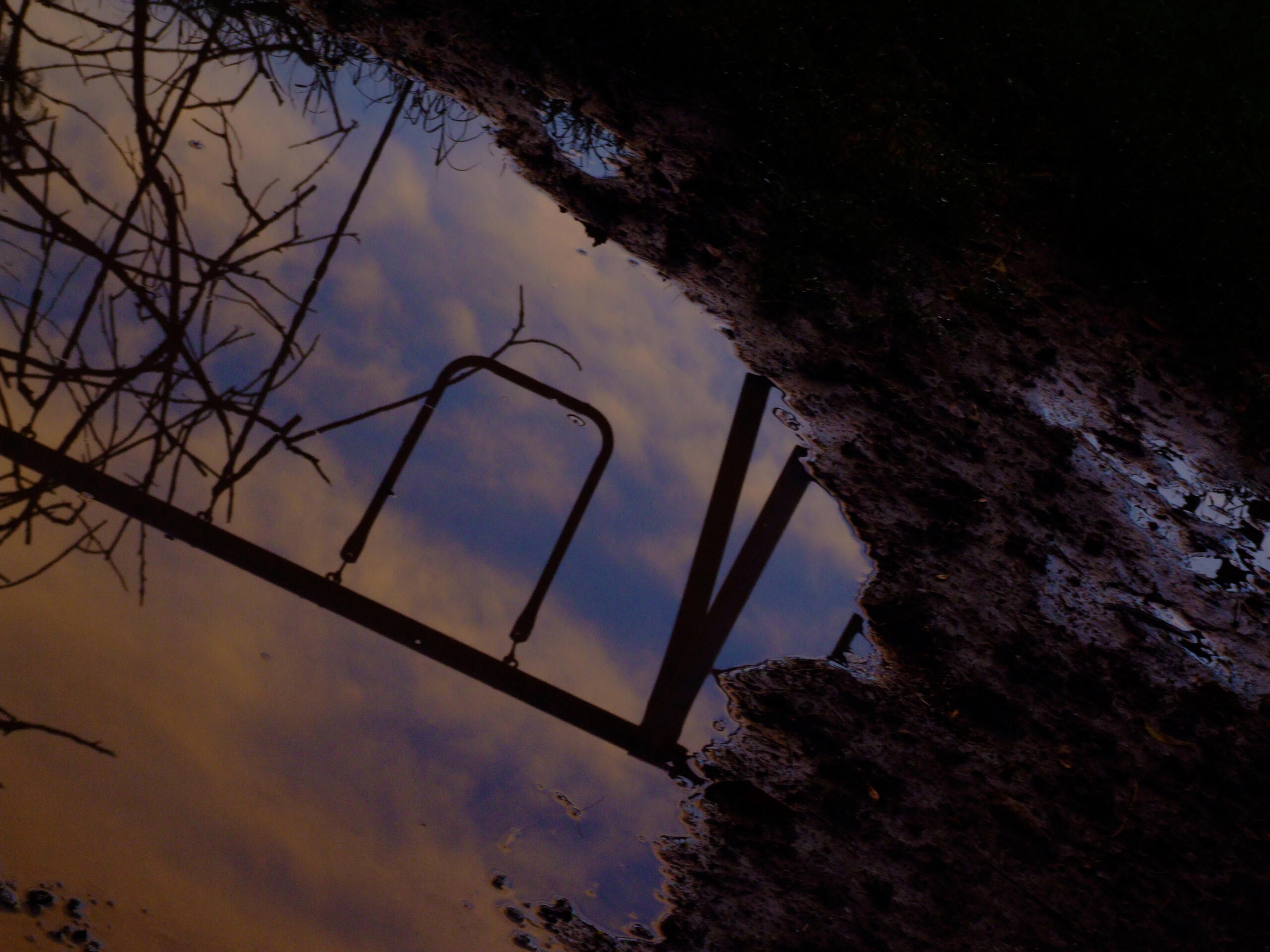 reflect