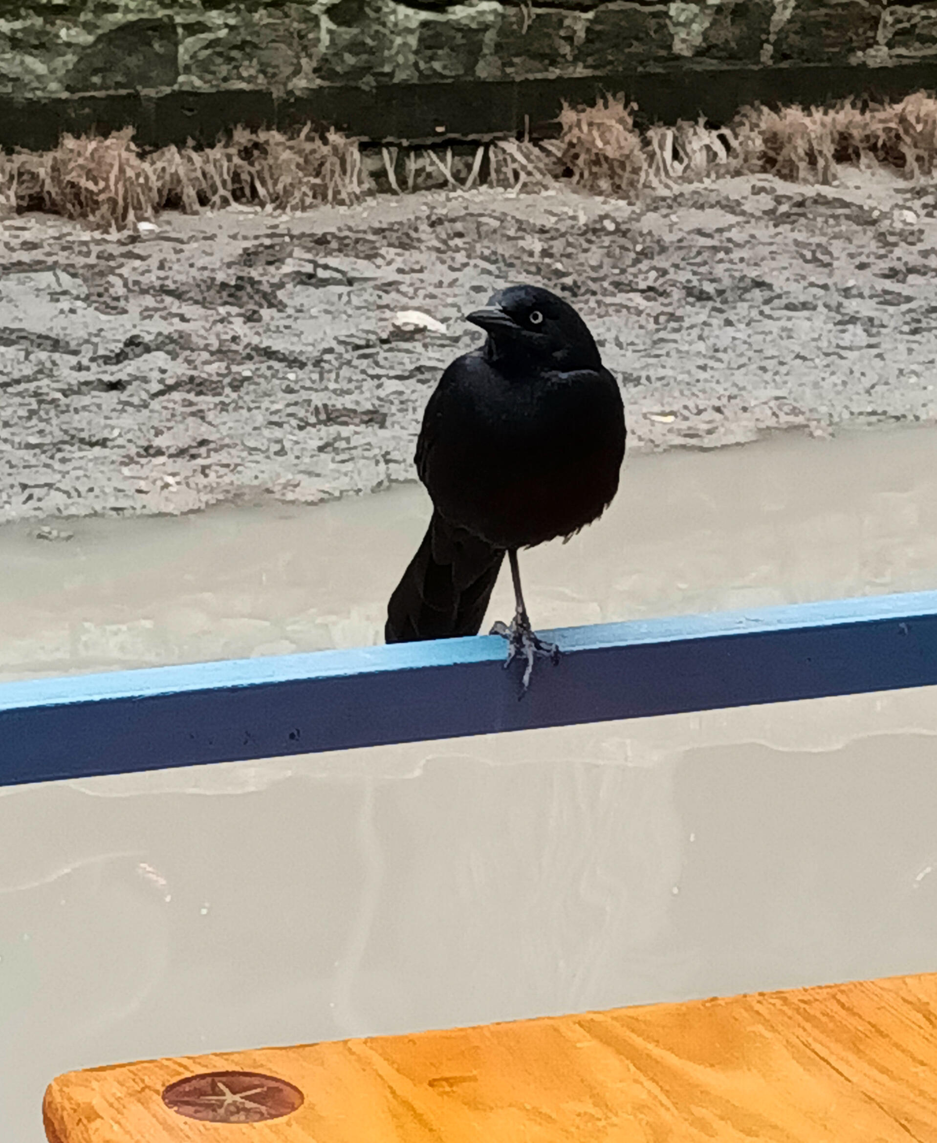 A Leg to Stand On