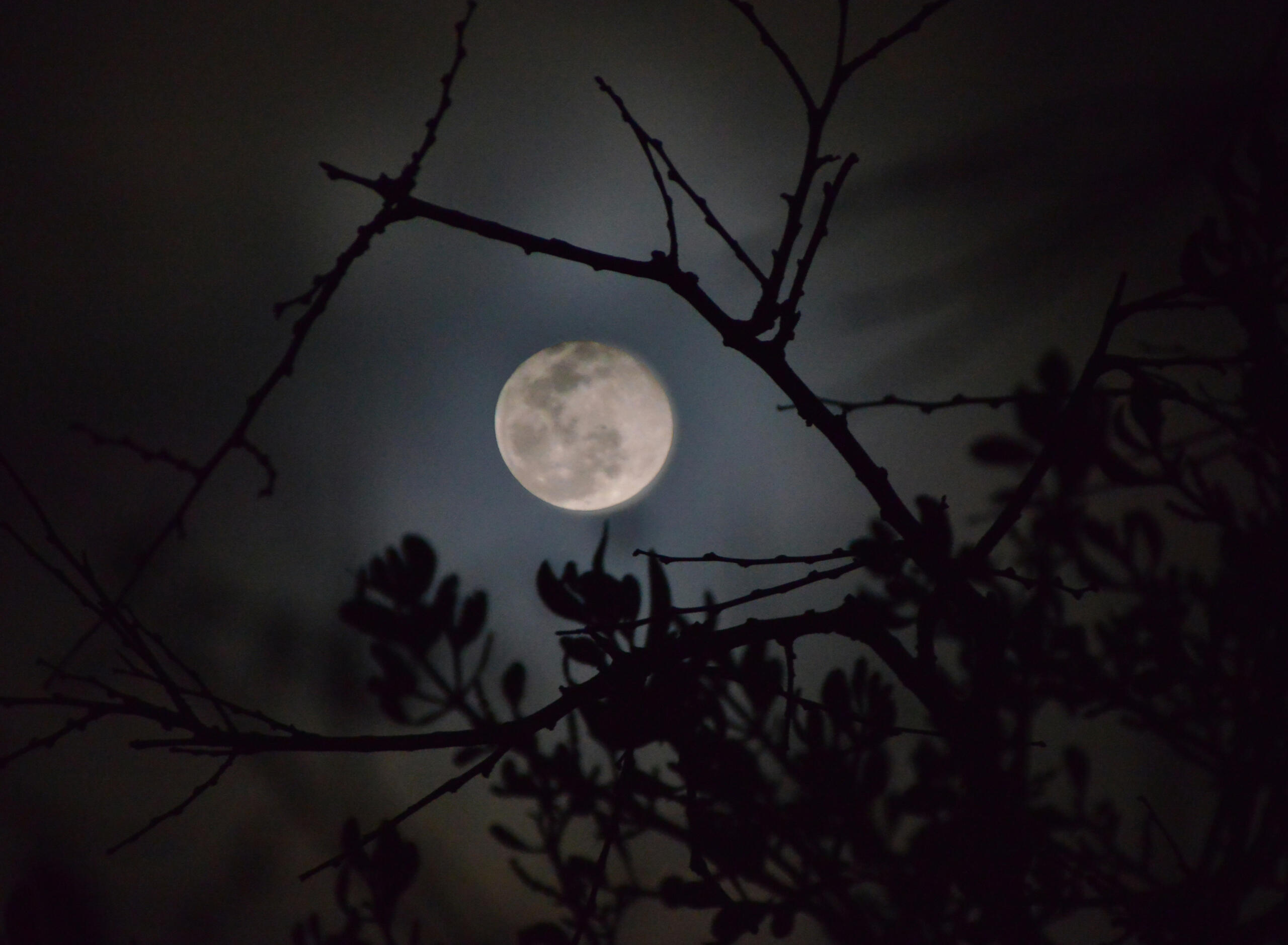 Snow Moon