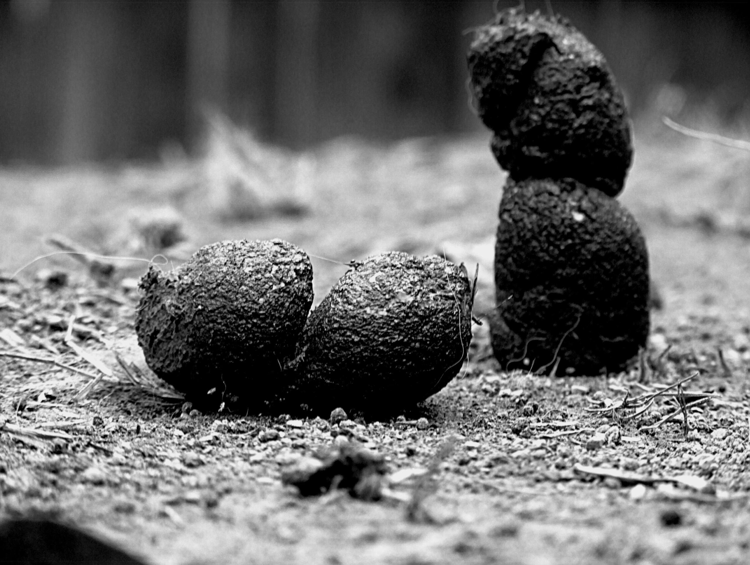 Strange Monoliths