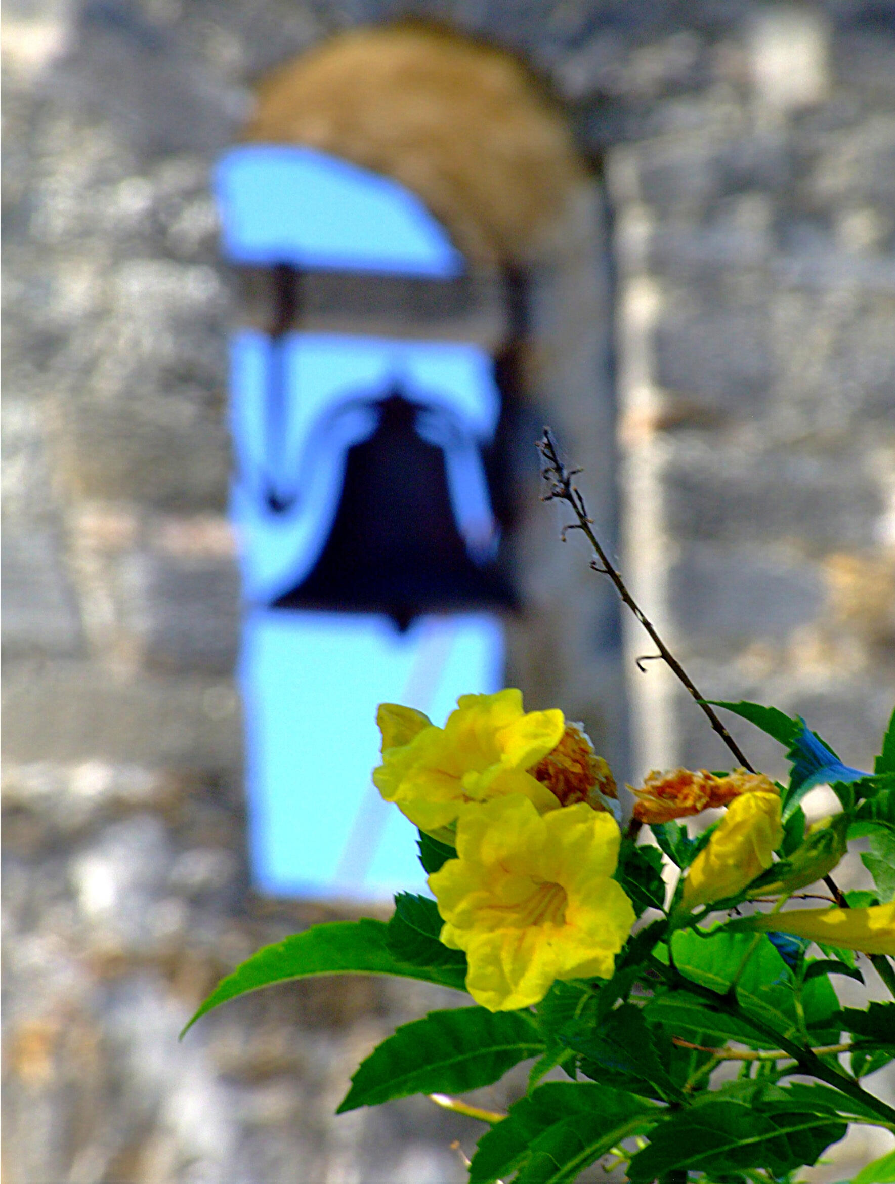 Bells
