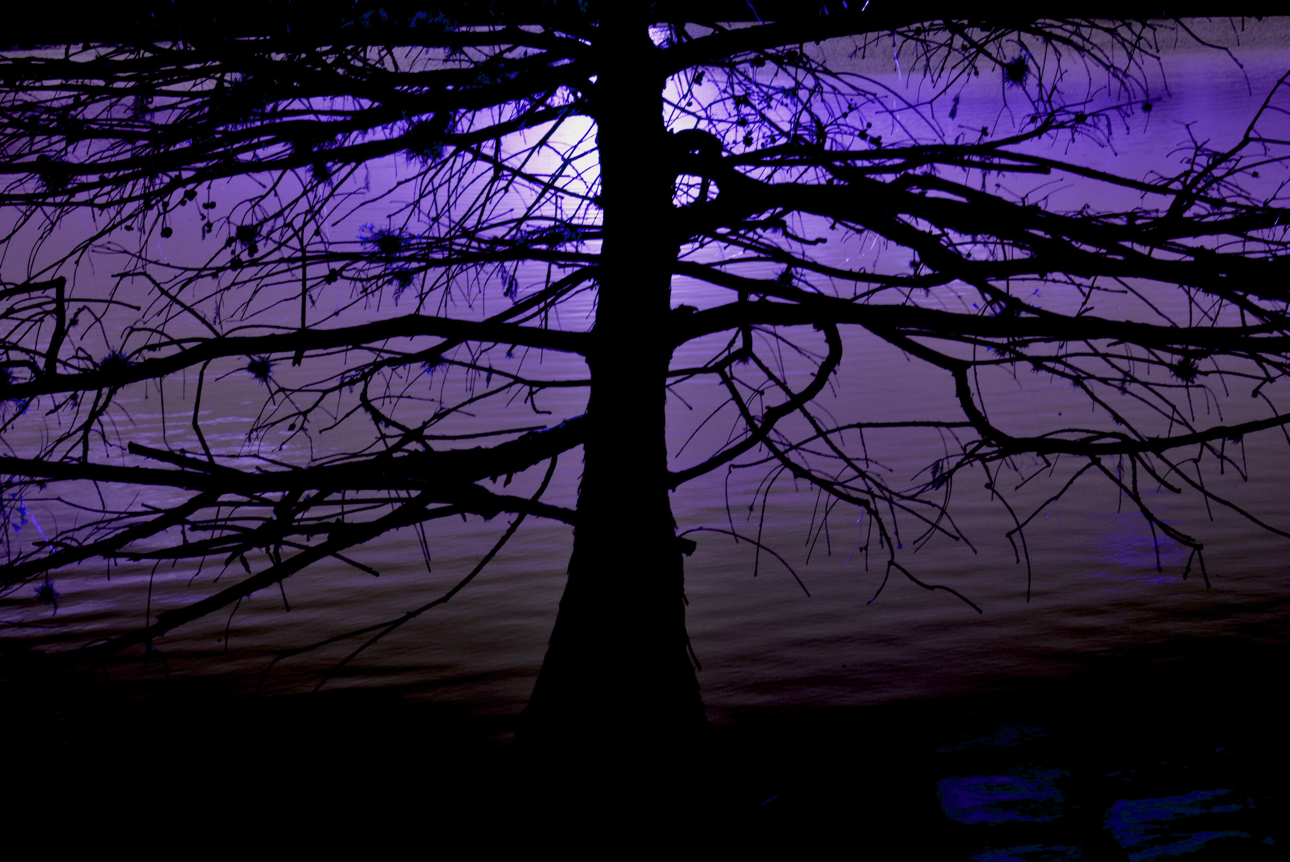 Moonrise