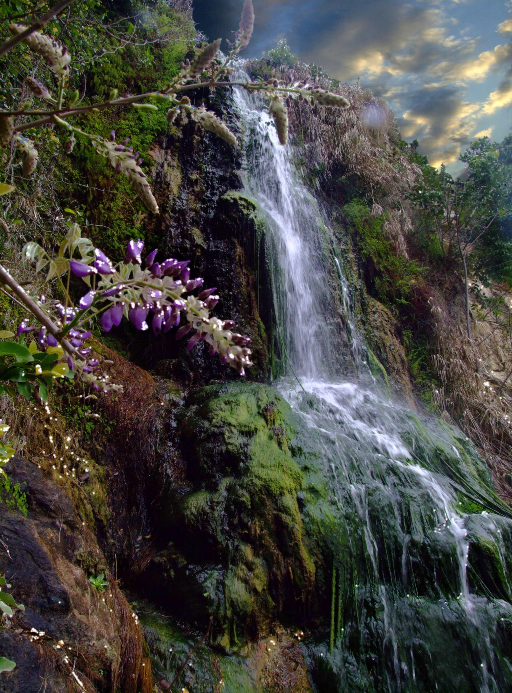 Spring Falls